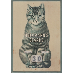 Hoffmann's Stärke Dauerkalender (WK 10197)