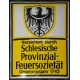Schlesische Provinzial-Feuersozietät (Ev. 124 P - WK 5228)